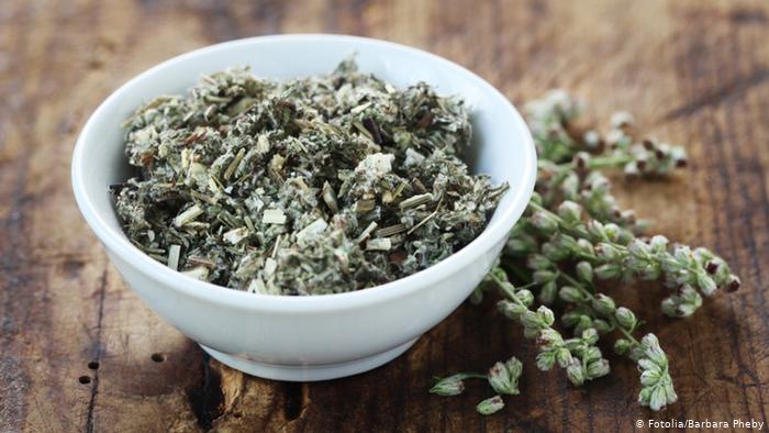 آیا این چای گیاهی آفریقایی شفابخش کرونا است؟ | دانش و محیط زیست | DW